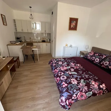 Appartement Milinkovic *
