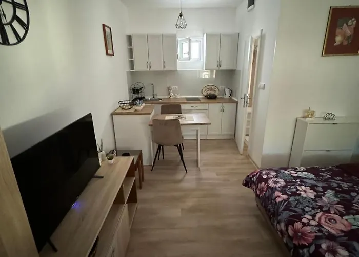 Appartamento Milinkovic *