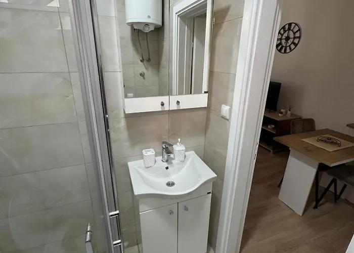 Milinkovic Appartamento Banja Koviljača